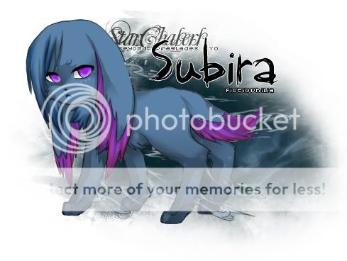 User Image